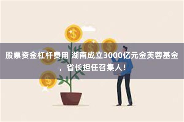 股票资金杠杆费用 湖南成立3000亿元金芙蓉基金，省长担任召集人！