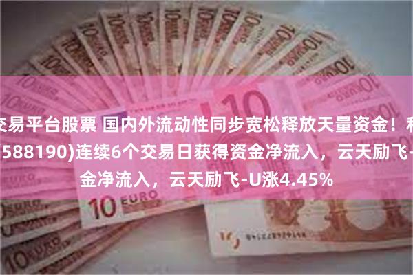 交易平台股票 国内外流动性同步宽松释放天量资金！科创100ETF(588190)连续6个交易日获得资金净流入，云天励飞-U涨4.45%